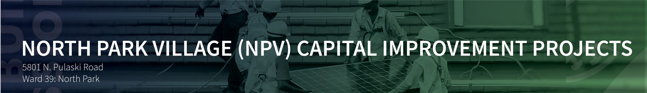 NPV Project Page banner