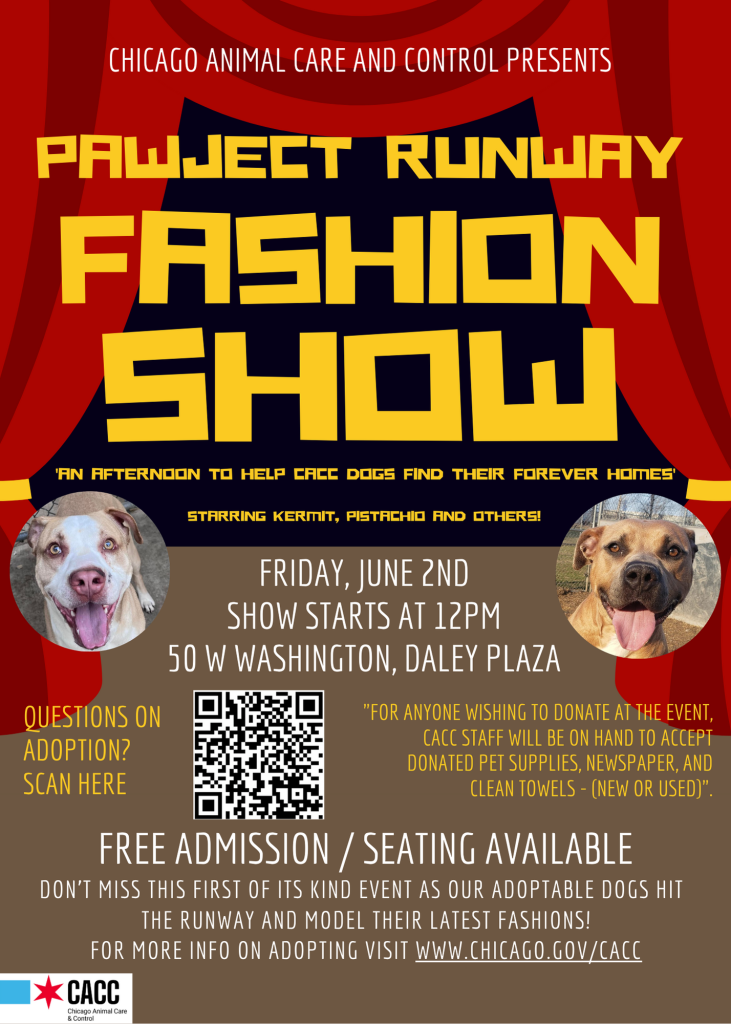 Pawject Runway